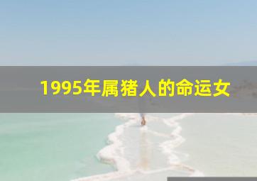 1995年属猪人的命运女