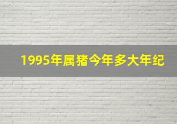 1995年属猪今年多大年纪