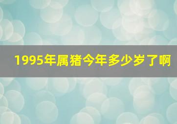 1995年属猪今年多少岁了啊