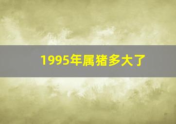 1995年属猪多大了