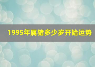 1995年属猪多少岁开始运势