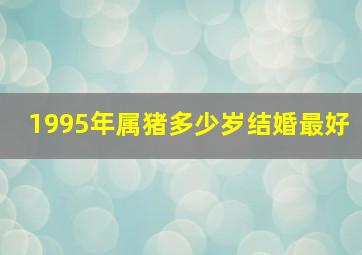 1995年属猪多少岁结婚最好