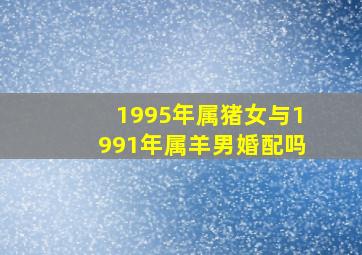 1995年属猪女与1991年属羊男婚配吗