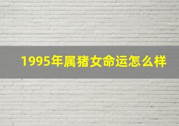 1995年属猪女命运怎么样