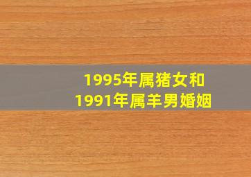 1995年属猪女和1991年属羊男婚姻