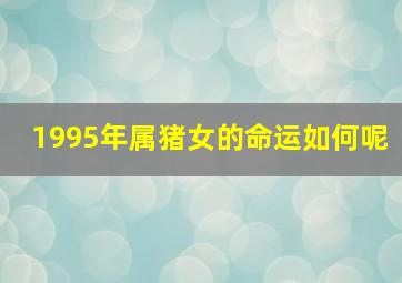 1995年属猪女的命运如何呢