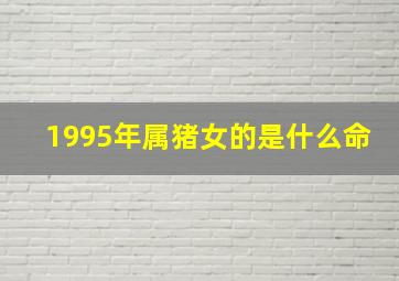 1995年属猪女的是什么命