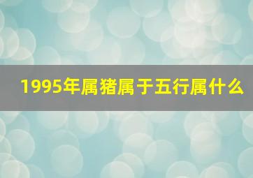 1995年属猪属于五行属什么