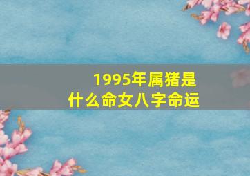 1995年属猪是什么命女八字命运