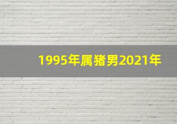 1995年属猪男2021年