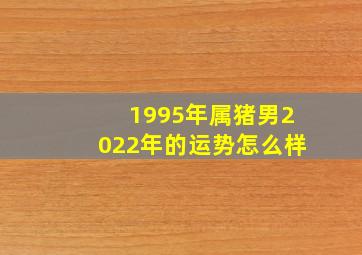 1995年属猪男2022年的运势怎么样