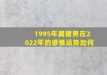 1995年属猪男在2022年的感情运势如何