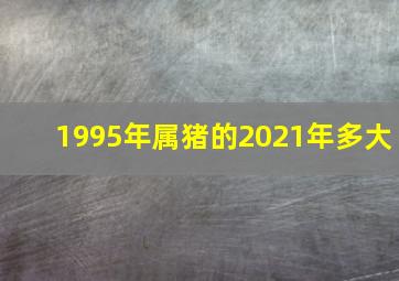 1995年属猪的2021年多大