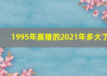 1995年属猪的2021年多大了