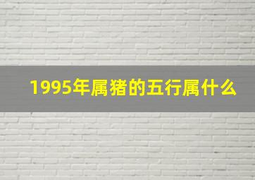 1995年属猪的五行属什么