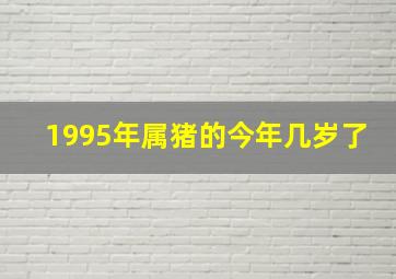 1995年属猪的今年几岁了