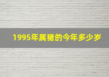 1995年属猪的今年多少岁