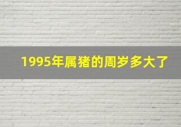 1995年属猪的周岁多大了