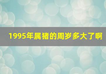 1995年属猪的周岁多大了啊