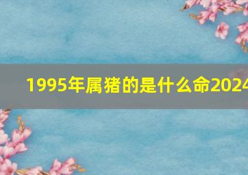 1995年属猪的是什么命2024