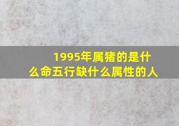 1995年属猪的是什么命五行缺什么属性的人