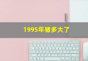 1995年猪多大了