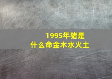 1995年猪是什么命金木水火土