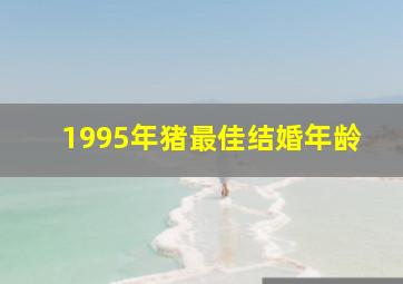 1995年猪最佳结婚年龄