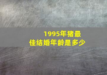 1995年猪最佳结婚年龄是多少