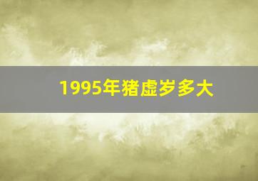 1995年猪虚岁多大