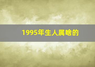 1995年生人属啥的