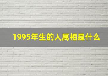 1995年生的人属相是什么