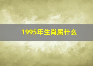 1995年生肖属什么