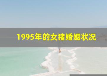 1995年的女猪婚姻状况