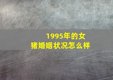 1995年的女猪婚姻状况怎么样