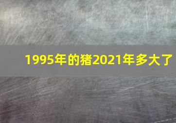 1995年的猪2021年多大了