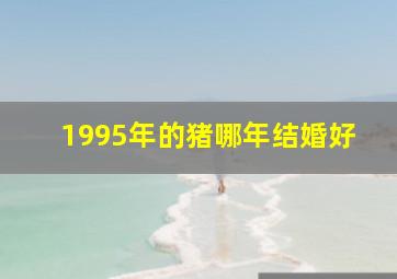 1995年的猪哪年结婚好