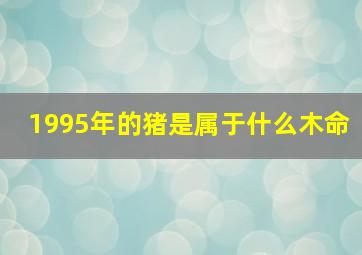 1995年的猪是属于什么木命