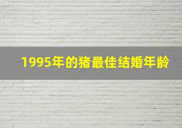 1995年的猪最佳结婚年龄