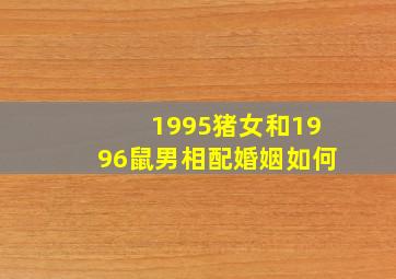 1995猪女和1996鼠男相配婚姻如何