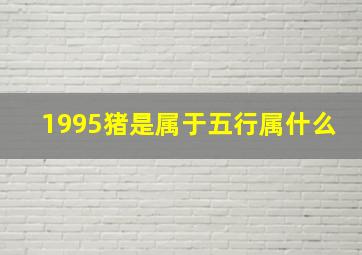 1995猪是属于五行属什么