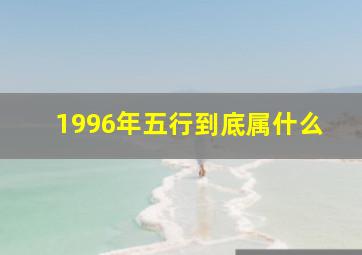 1996年五行到底属什么