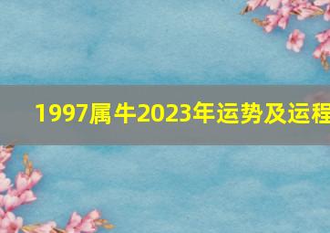 1997属牛2023年运势及运程