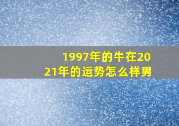 1997年的牛在2021年的运势怎么样男