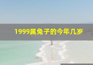 1999属兔子的今年几岁