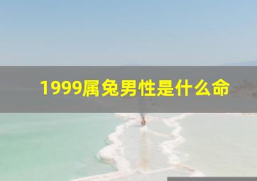 1999属兔男性是什么命