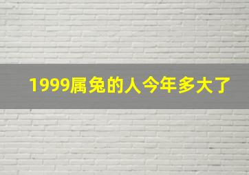 1999属兔的人今年多大了