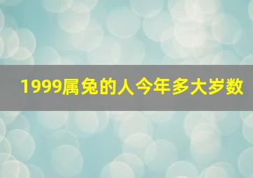 1999属兔的人今年多大岁数