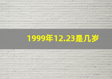 1999年12.23是几岁