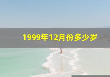 1999年12月份多少岁